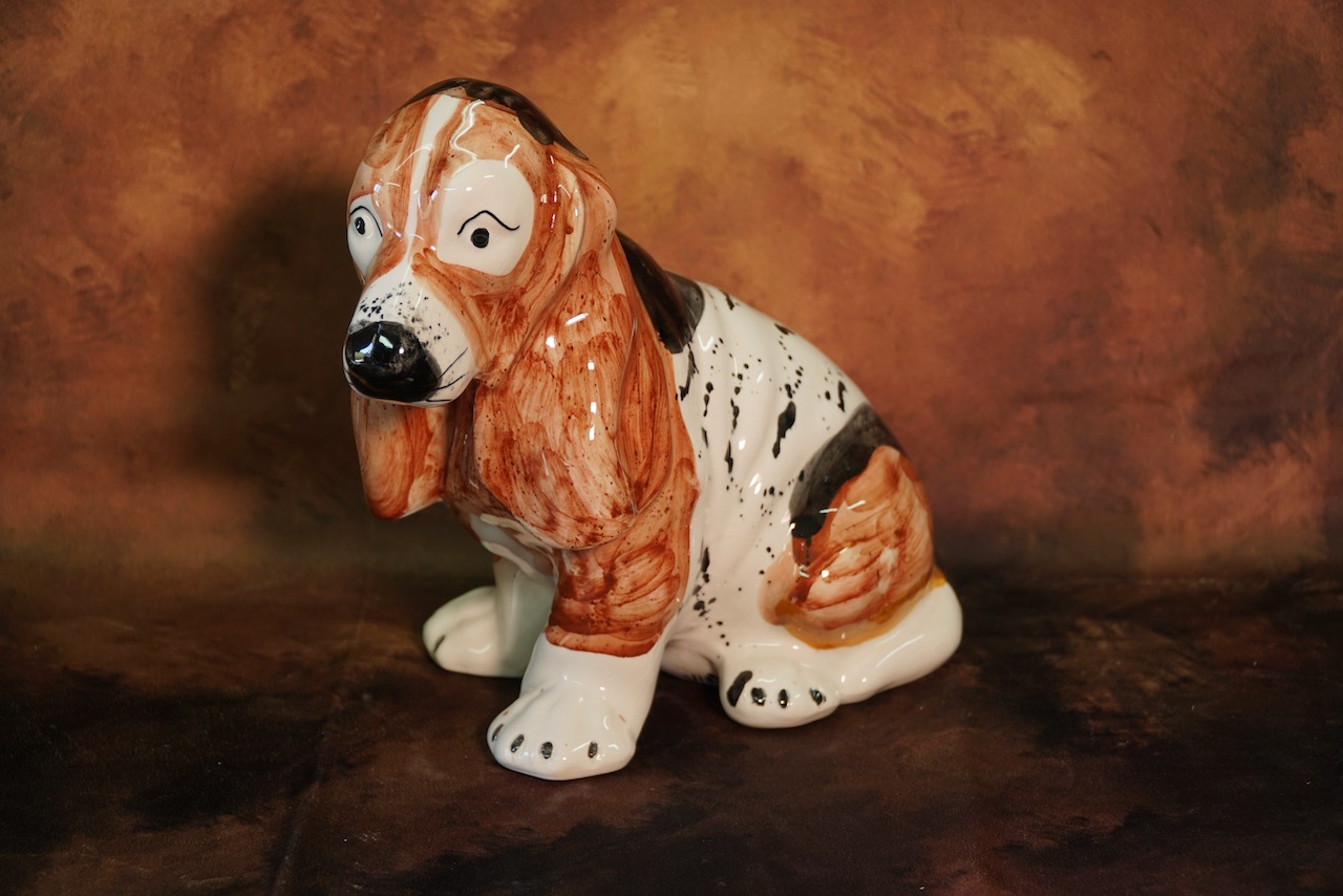 Basset hound