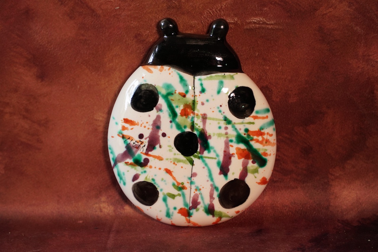 Umidificatore “coccinella”