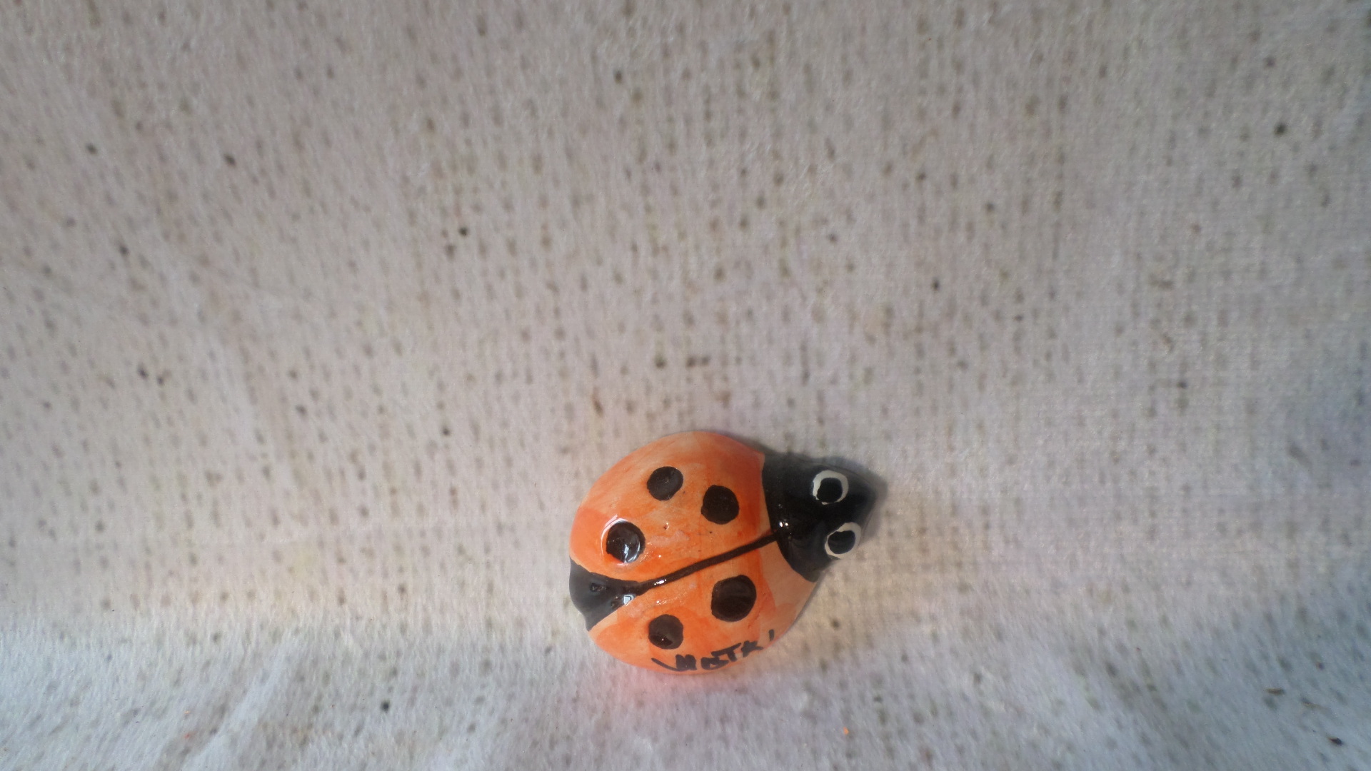 Magnete “coccinella”